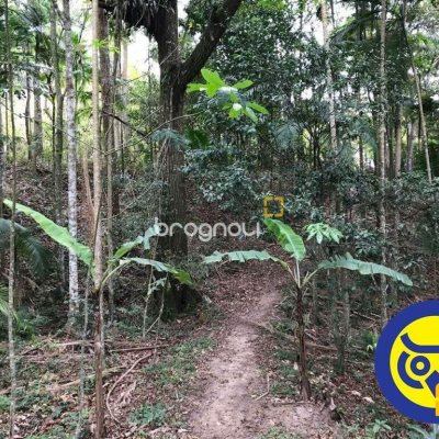 Terreno com 50063m², no bairro Vargem Grande em Florianópolis