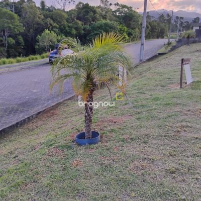 Terreno com 451m², no bairro Areias de Baixo em Governador Celso Ramos