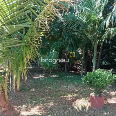 Casa com 15600m², 3 quartos (sendo 1 suíte), 2 garagens, no bairro Ribeirão da Ilha em Florianópolis