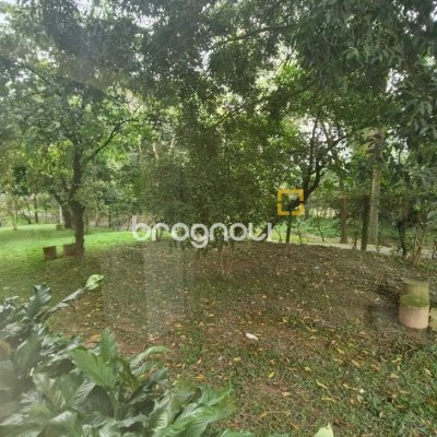 Apartamento com 79m², 3 quartos (sendo 1 suíte), 2 garagens, no bairro Córrego Grande em Florianópolis