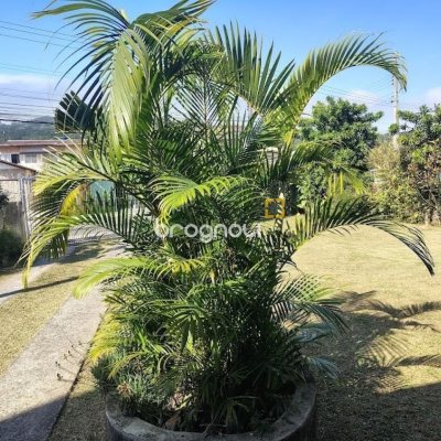 Casa com 148m², 3 quartos (sendo 1 suíte), 2 garagens, no bairro Cachoeira do Bom Jesus em Florianópolis