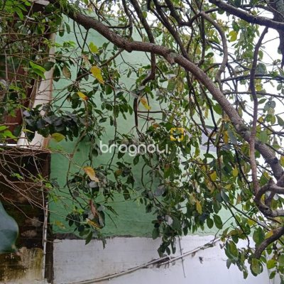 Casa com 130m², 2 quartos, 3 garagens, no bairro Balneário em Florianópolis
