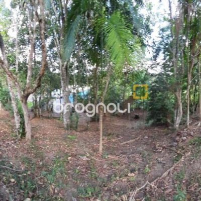 Sítio com 100m², 3 quartos (sendo 1 suíte), 2 garagens, no bairro Vargem Pequena em Florianópolis