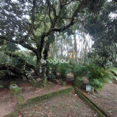 Terreno com 73300m², no bairro Saco Grande em Florianópolis