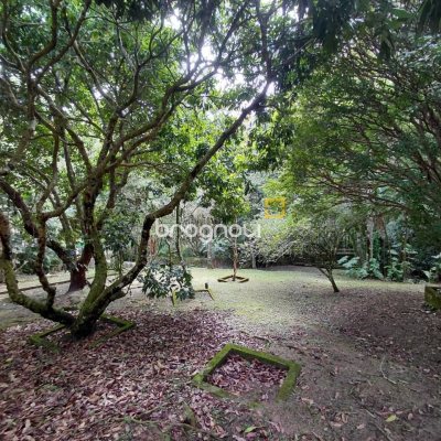 Terreno com 73300m², no bairro Saco Grande em Florianópolis