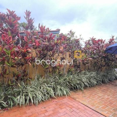 Casa com 54m², 1 quarto, 1 garagem, no bairro Cachoeira do Bom Jesus em Florianópolis