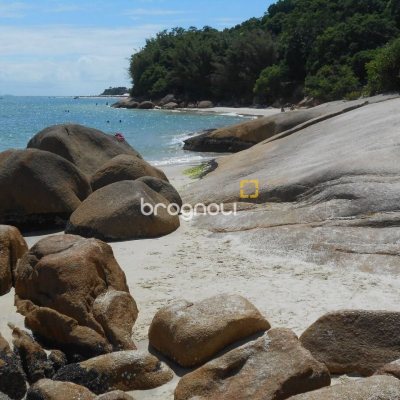 Terreno com 720m², no bairro Daniela em Florianópolis