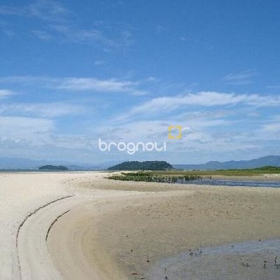 Casa com 298m², 5 quartos (sendo 1 suíte), 6 garagens, no bairro Daniela em Florianópolis