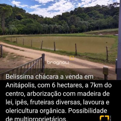 Sítio com 30000m², 1 quarto, no bairro Centro em Anitápolis