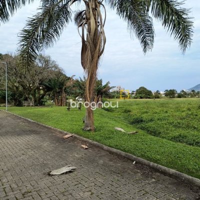 Terreno com 401m², no bairro Pântano do Sul em Florianópolis