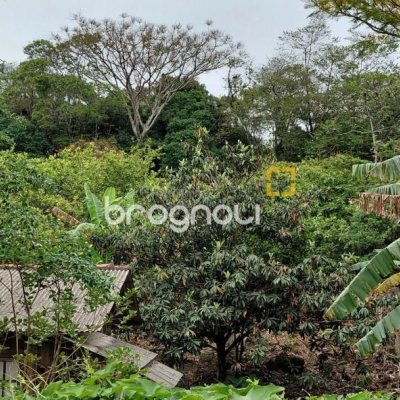 Terreno com 1947m², no bairro Jardim Janaina em Biguaçu