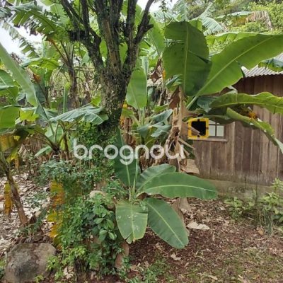 Terreno com 1947m², no bairro Jardim Janaina em Biguaçu
