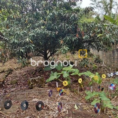 Terreno com 1947m², no bairro Jardim Janaina em Biguaçu