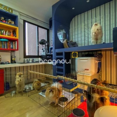 Apartamento com 303m², 3 quartos (sendo 3 suítes), 3 garagens, no bairro Agronômica em Florianópolis