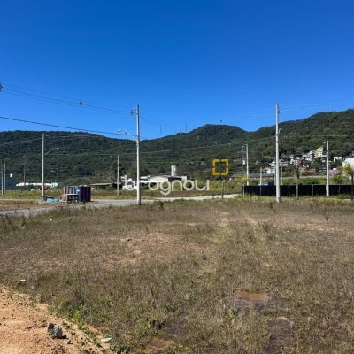 Terreno com 450m², no bairro São João do Rio Vermelho em Florianópolis