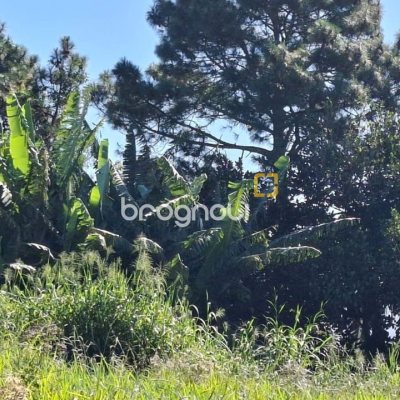 Terreno com 801m², no bairro Capoeiras em São José
