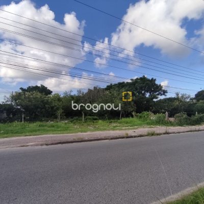 Terreno com 2829m², no bairro Vargem Grande em Florianópolis