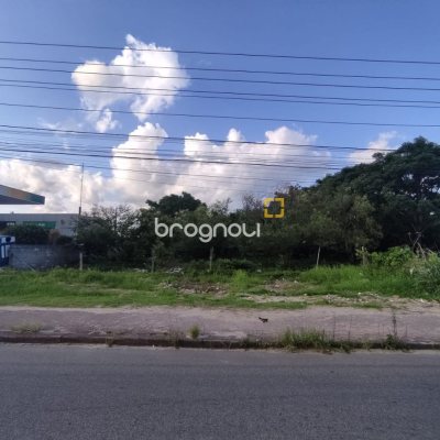 Terreno com 2829m², no bairro Vargem Grande em Florianópolis