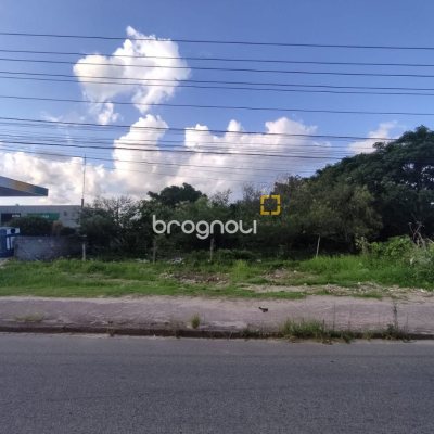 Terreno com 2829m², no bairro Vargem Grande em Florianópolis