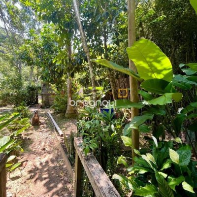 Casa com 80m², 3 quartos, 4 garagens, no bairro Campeche em Florianópolis