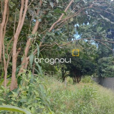 Terreno com 3657m², no bairro Ratones em Florianópolis