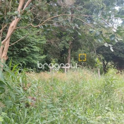 Terreno com 3657m², no bairro Ratones em Florianópolis