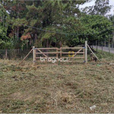 Terreno com 28060m², no bairro Córrego Grande em Florianópolis