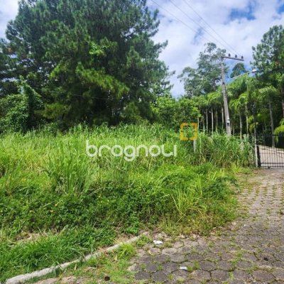Terreno com 28060m², no bairro Córrego Grande em Florianópolis
