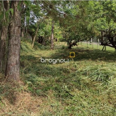 Terreno com 28060m², no bairro Córrego Grande em Florianópolis