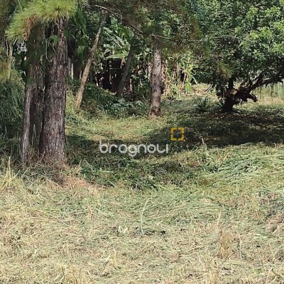 Terreno com 28060m², no bairro Córrego Grande em Florianópolis