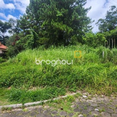Terreno com 28060m², no bairro Córrego Grande em Florianópolis