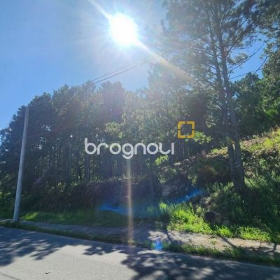 Terreno com 28060m², no bairro Córrego Grande em Florianópolis