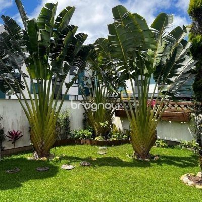 Casa com 200m², 3 quartos (sendo 1 suíte), 4 garagens, no bairro Cachoeira do Bom Jesus em Florianópolis
