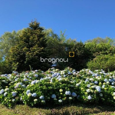 Terreno com 1301m², no bairro Vargeado em Rancho Queimado