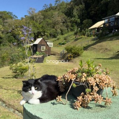 Terreno com 1301m², no bairro Vargeado em Rancho Queimado