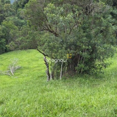Terreno com 1301m², no bairro Vargeado em Rancho Queimado