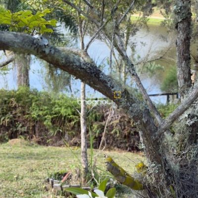 Terreno com 1301m², no bairro Vargeado em Rancho Queimado