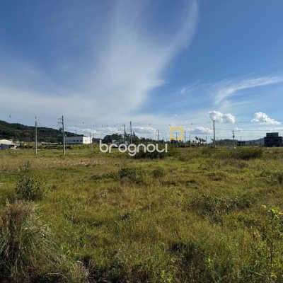 Terreno com 459m², no bairro São João do Rio Vermelho em Florianópolis