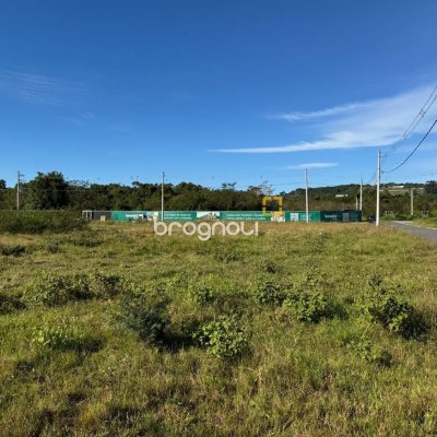 Terreno com 459m², no bairro São João do Rio Vermelho em Florianópolis