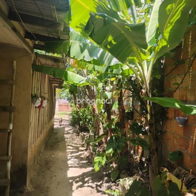 Casa com 182m², 3 quartos, 2 garagens, no bairro Vargem Grande em Florianópolis