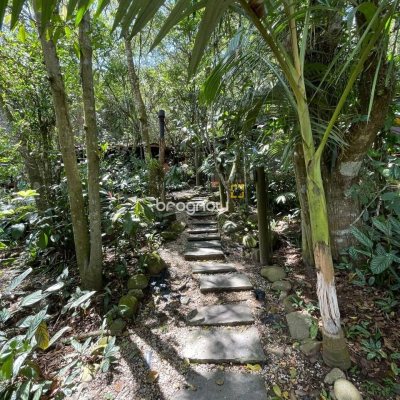 Sítio com 250m², 8 quartos, 2 garagens, no bairro Ratones em Florianópolis