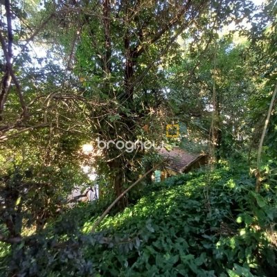 Terreno com 1125m², no bairro Estreito em Florianópolis