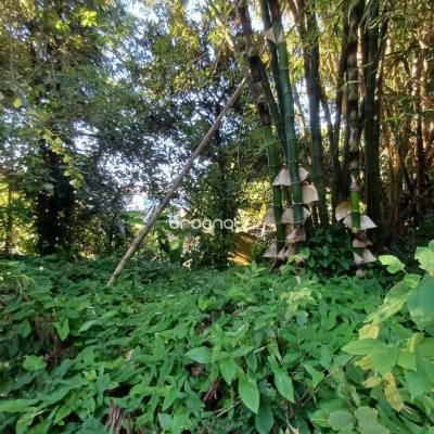 Terreno com 1125m², no bairro Estreito em Florianópolis