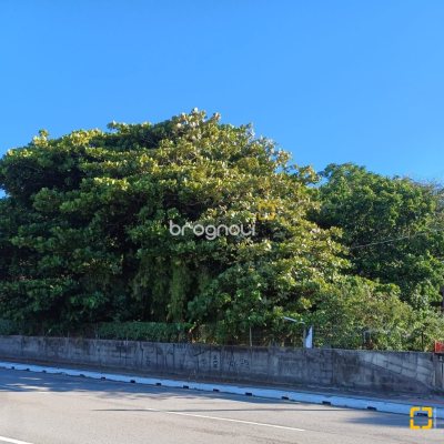 Terreno com 1125m², no bairro Estreito em Florianópolis