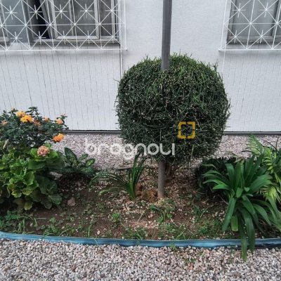 Apartamento com 65m², 3 quartos, 1 garagem, no bairro Kobrasol em São José