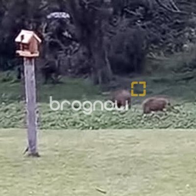 Casa de Condomínio com 73m², 2 quartos, 1 garagem, no bairro Lagoa da Conceição em Florianópolis