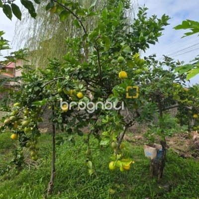 Terreno com 360m², no bairro Carianos em Florianópolis