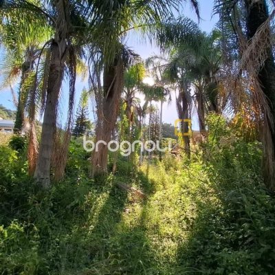 Terreno com 4214m², no bairro Ponta de Baixo em São José
