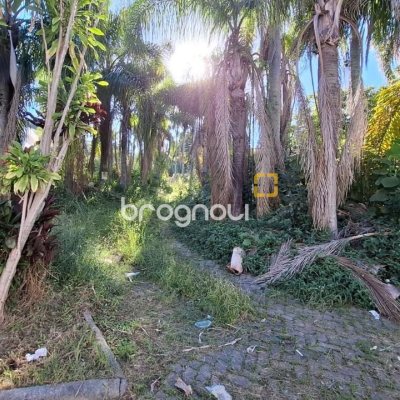 Terreno com 4214m², no bairro Ponta de Baixo em São José