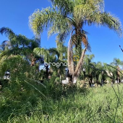 Terreno com 4214m², no bairro Ponta de Baixo em São José